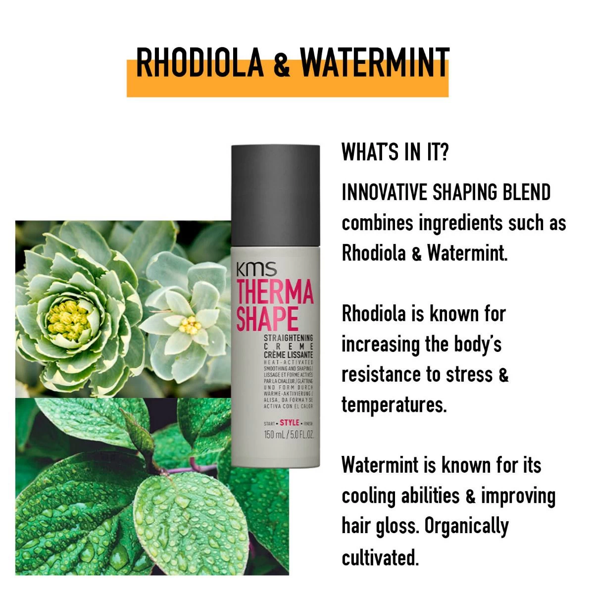 KMS ThermaShape Straightening Creme 150ml 5 KMS ThermaShape Straightening Creme 150ml - Afbeelding 3