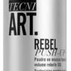 L'Oreal L'Oréal Tecni.Art Rebel Push-Up Mousse 250ml -Stylingproducten Winkel l or al tecni.art rebel push up mousse 250ml
