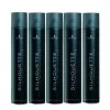 15x Schwarzkopf Silhouette Super Hold Spray 500ml